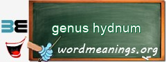 WordMeaning blackboard for genus hydnum